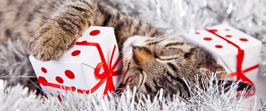 A Guide to Pet-Proofing the Holiday Season!