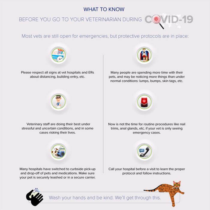 What to know before you go to your veterinarian during Covid-19
