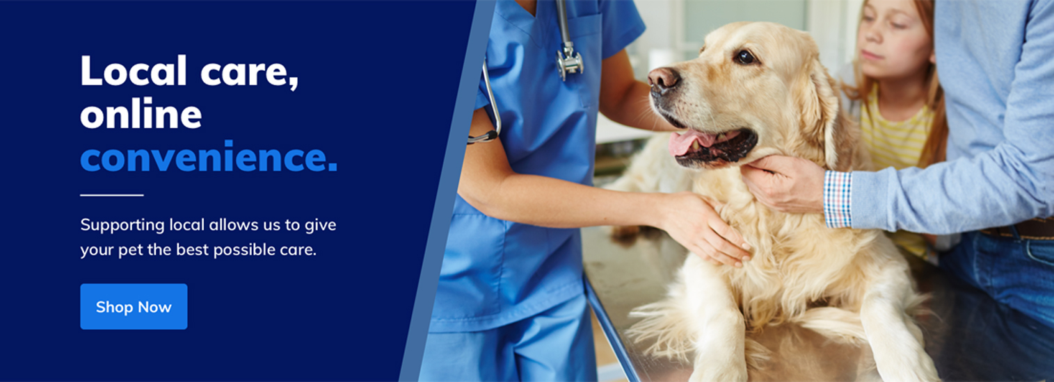 plymouth michigan veterinarians