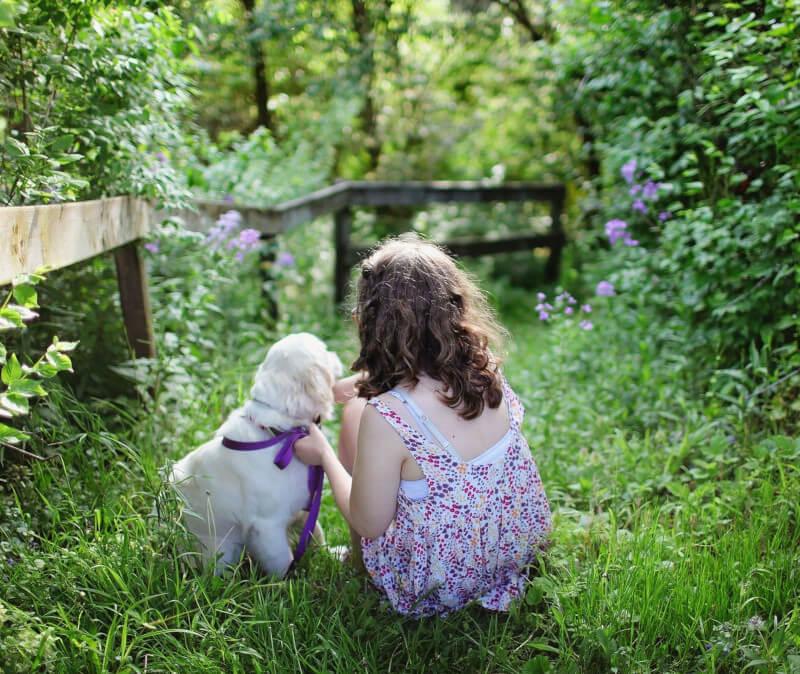 Flea and tick preventatives at Plymouth IN vet