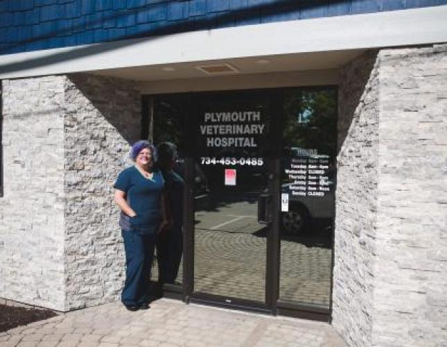 The Benefits of Using an AAHA-Accredited Veterinary Hospital