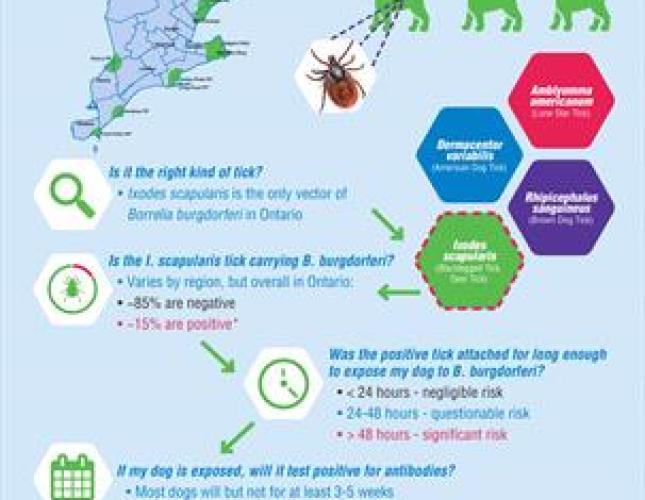 Will you Test my Tick?