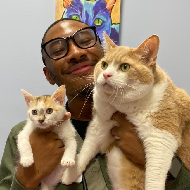 Plymouth Michigan Veterinarians