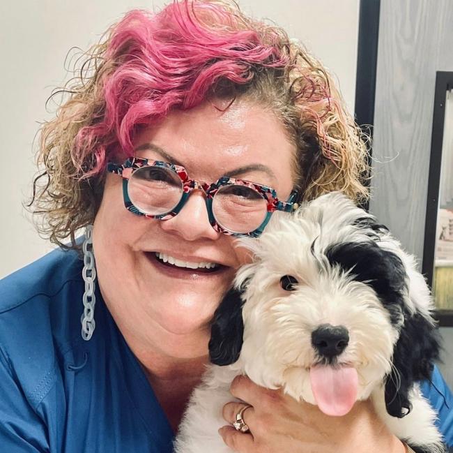 Plymouth Michigan Veterinarians
