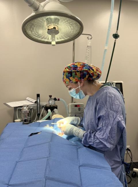 Surgical Services